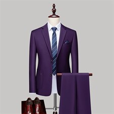 87883-2秋季新款男士西服两件套套装西装修身商务休闲P180，男装西服套装，电商B360