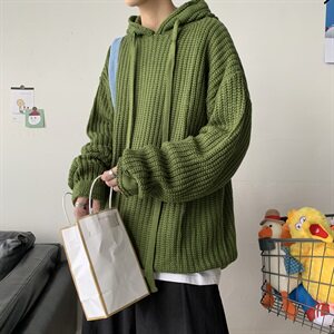 20秋冬 港风连帽针织衫毛衣中性情侣纯色百搭韩版潮 W01/图片