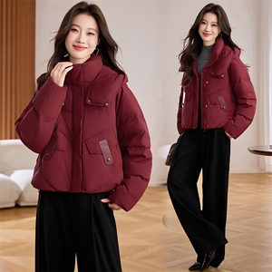 2025冬季新款简约时尚连帽羽绒服图片