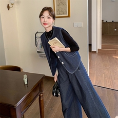 2025年春季新款马甲两件套，女装套装/套裙，秋水欣儿