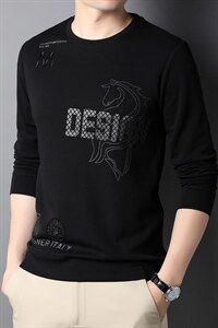 2023秋季新款中年男士长袖t恤套头圆领卫衣爸爸装宽松打底衫上衣图片