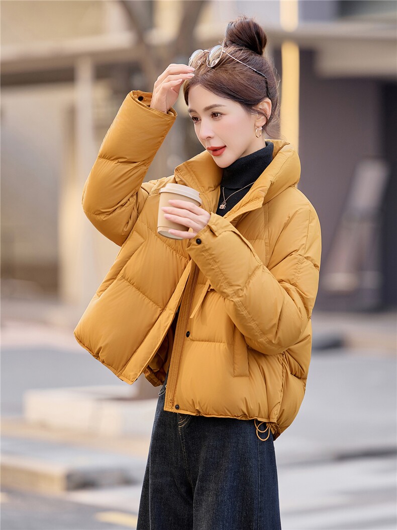 时尚洋气短款立领白鸭绒羽绒服女2025冬新款韩版设计感,女装羽绒服,余墨