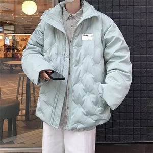 高级感棉服男冬季街头潮牌设计感压褶立领棉衣  DH06 P100图片