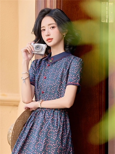 田园风斜领碎花刺绣连衣裙女春夏收腰显瘦中长裙（细节图颜色为）图片