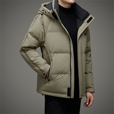 BAMJ-8933钱塘2020-2时尚休闲帅气中年男士商务百搭羽绒服P245，男装羽绒服，钱塘207-2