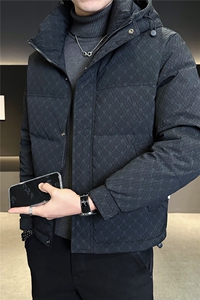 6629-L-4XL-P225标50绒店主风店主风男士常规休闲连帽羽绒服图片