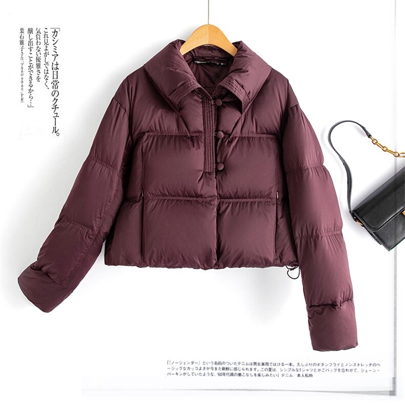 水衣源2767款时尚纯色短款洋气加厚保暖羽绒服女冬季潮品图片