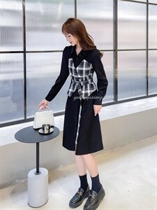 秋季新款连衣裙图片
