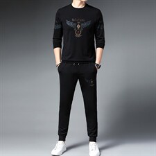 中青年秋季商务休闲时尚运动套装男士长袖印花T恤男装两件套，男装休闲套装，电商B212（原钱塘6029）