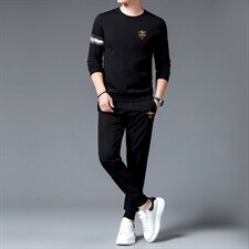 中年男装运动套装秋季刺绣爸爸装圆领中老年运动服男卫衣休闲套装，男装休闲套装，电商B212（原钱塘6029）