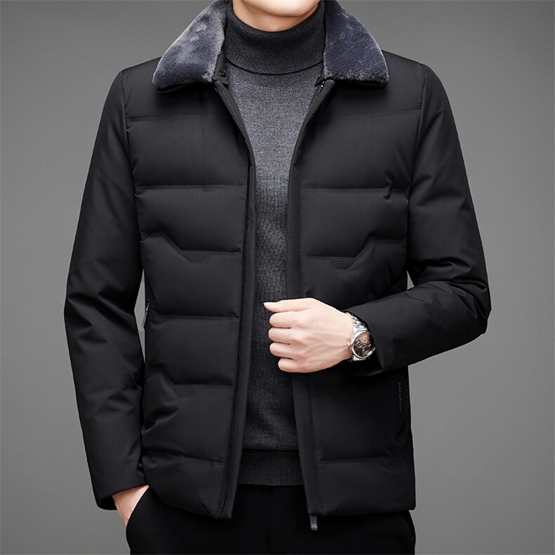2023年新款羽绒服P220图片