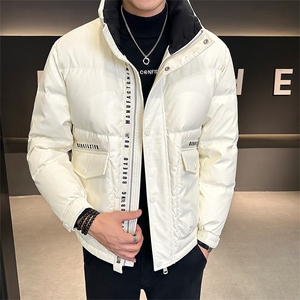 标50  2025冬季新款立领时尚潮流帅气保暖羽绒服YR8095-P220图片