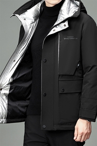 2023年新款羽绒服P305图片