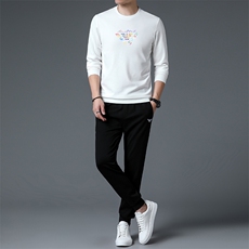HPN-TZ1111男士2023年春季新款长袖两件套青年休闲套装，男装休闲套装，电商B360