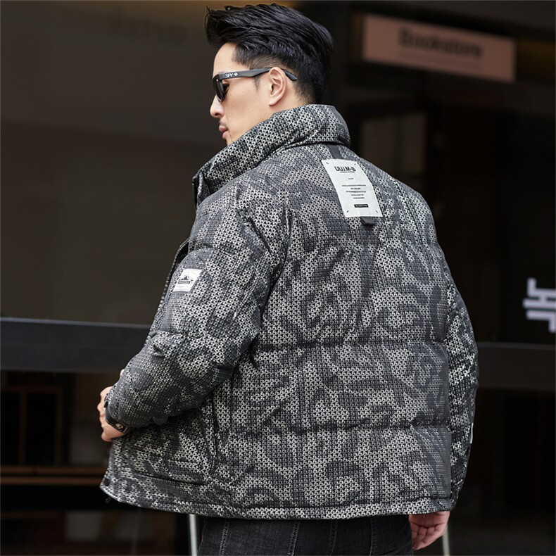 秋冬季白鸭绒加厚羽绒服短款立领休闲保暖简约防寒潮服外套男装,男装羽绒服,钱塘6003（原4033）