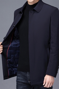 DZF02钱塘2020-3冬季厚款翻领商务休闲中年男士羽绒服货稳P175图片