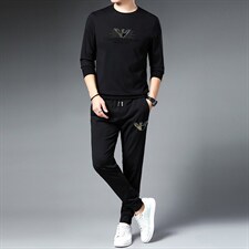 春秋季时尚圆领套装男休闲运动服中青年长袖印花T恤两件套男装，男装休闲套装，电商B212（原钱塘6029）