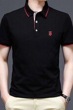 男士短袖polo衫宽松休闲百搭体恤半袖t恤衫夏装翻领上衣，男装T恤，电商B212（原钱塘6029）