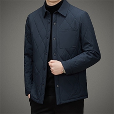冬季男士商务休闲棉服中青年翻领加厚保暖棉衣新款宽松免烫外套，男装棉衣，电商B212（原钱塘6029）