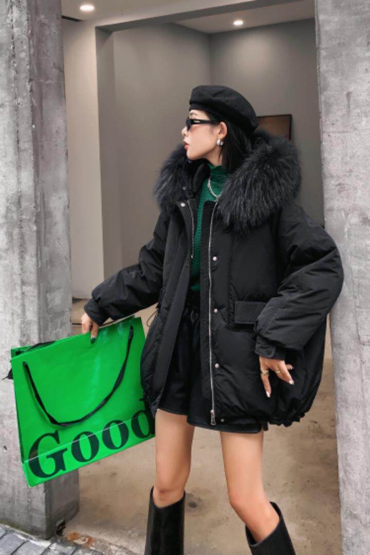 登石木子 DSMZ133546