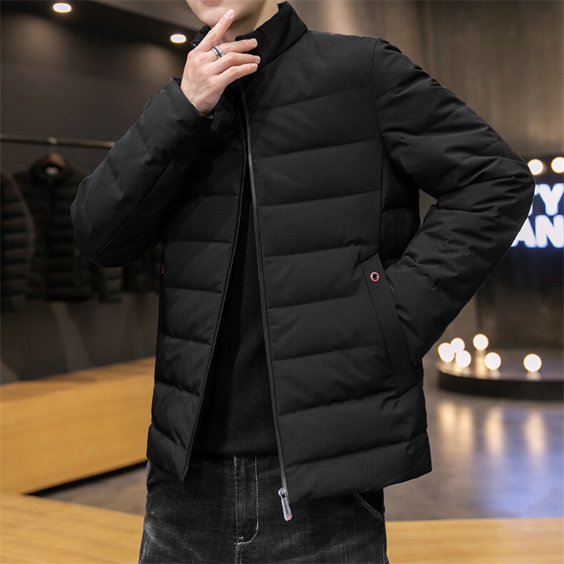 冬季羽立领休闲绒服男士新款中青年加厚保暖白鸭绒外套潮流上衣,男装羽绒服,电商B212（原钱塘6029）