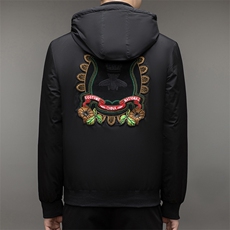 新款男士连帽纯色羽绒服中年商务休闲上衣冬季厚款保暖白鸭绒外套，男装羽绒服，电商B212（原钱塘6029）