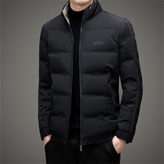BZW2206钱塘2020-2百搭时尚休闲简约冬季厚款中年男士羽绒服P190，男装羽绒服，钱塘207-2
