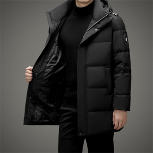2023年新款羽绒服P330图片
