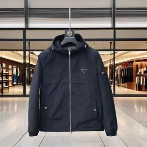 (网图)连帽轻薄棉服胸标轻奢立体休闲薄棉棉袄 313B-JK98101-P100图片