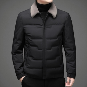 2023新款冬装羽绒服中青年男士休闲保暖翻领连帽外套AJYD615-P250图片