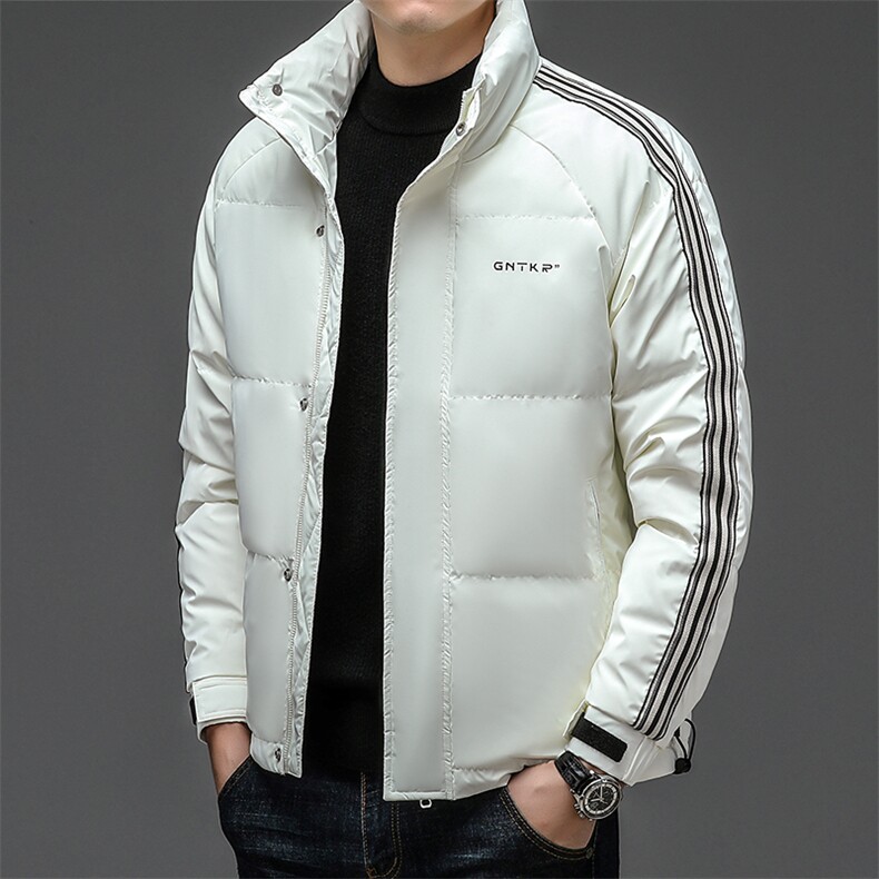 男士立领纯色休闲羽绒服冬季新款中年加厚保暖灰鹅绒爸爸装外套,男装羽绒服,电商B212（原钱塘6029）