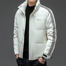 男士立领纯色休闲羽绒服冬季新款中年加厚保暖灰鹅绒爸爸装外套，男装羽绒服，电商B212（原钱塘6029）