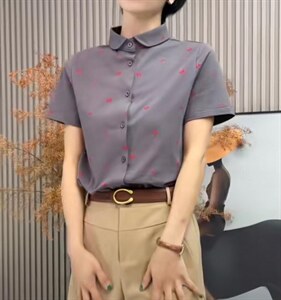 蝶恋花图片