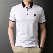 polo衫短袖男夏季潮牌2023新款半袖上衣宽松翻领t恤男，男装T恤，电商B212（原钱塘6029）