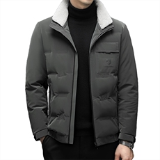 DF22026钱塘2020-2冬季厚款时尚休闲简约中年男士羽绒服P285，男装羽绒服，钱塘207-2