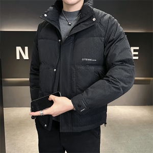 2025冬季DS-A225标新款男士立领白鸭绒羽绒服夹克885506-P150图片