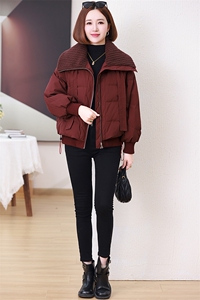洋气减龄大翻领羽绒服女2024冬季新款宽松气质保暖短款白鸭绒外套图片