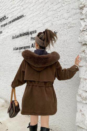 新款派克服，女装，菲特佳人