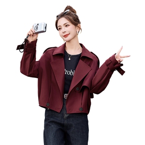 初春收腰短款外套女2025春秋新款今年流行爆款独特漂亮西装领上衣图片