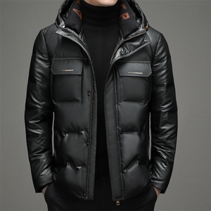 男士外套冬季新款潮流短款休闲时尚百搭保暖羽绒服 JZ2226-P255图片