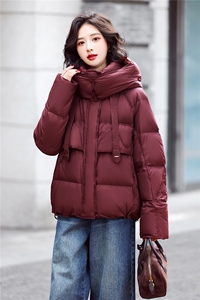 新标90白鸭绒短款羽绒服女2025年冬季新款立领羽绒服图片
