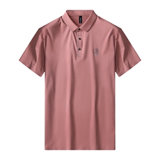 无痕polo衫中年商务休闲男装夏季新款男士短袖T恤半袖翻领上衣服，男装Polo衫，电商B212（原钱塘6029）
