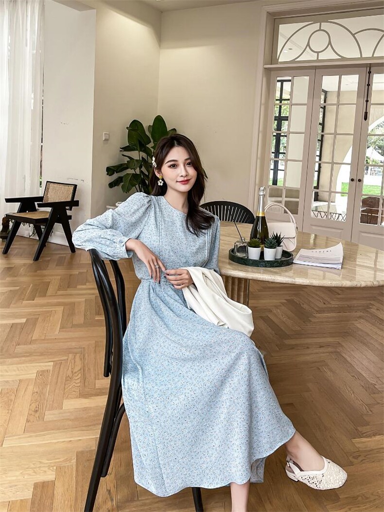 两件套连衣裙，女装连衣裙，素雅公主(1F)