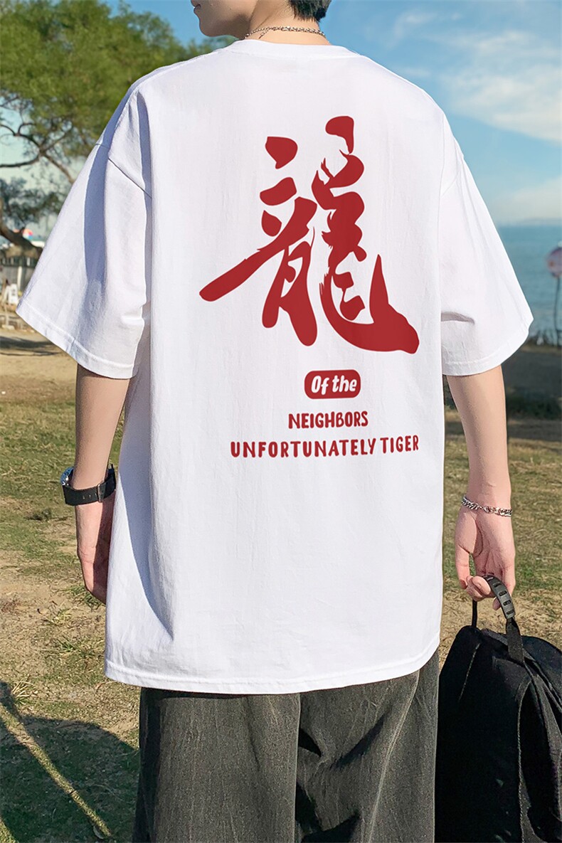 直播供货2025夏装新款纯棉印花短袖T恤A158-T2426-P18特价控28,男装T恤,电商A158