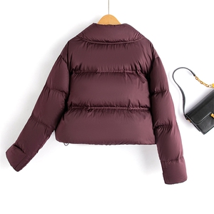 水衣源2767款时尚纯色短款洋气加厚保暖羽绒服女冬季潮品图片