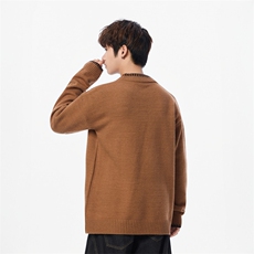 25705-特P50秋季时尚圆领毛衣外套男士针织衫简约宽松内搭打底衫，男装T恤，电商D310B