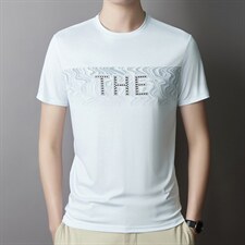 2022男装夏季短袖T恤夏装半袖圆领冰丝中年体恤夏装，男装T恤，电商B212（原钱塘6029）