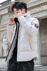 2020冬季韩版立领棉衣男潮流刺绣休闲青年短款棉服8887，男装棉衣，A067