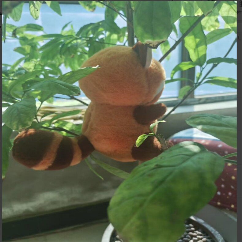 长尾浣熊厂家直销八寸毛绒玩具摆摊地摊首选，吉吉毛绒玩具厂