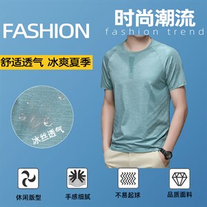 户外速干短袖T恤男士2024夏季新款半袖圆领吸汗透气拼色T恤男P52图片
